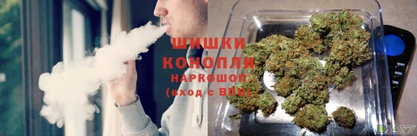 ПСИЛОЦИБИНОВЫЕ ГРИБЫ Абдулино