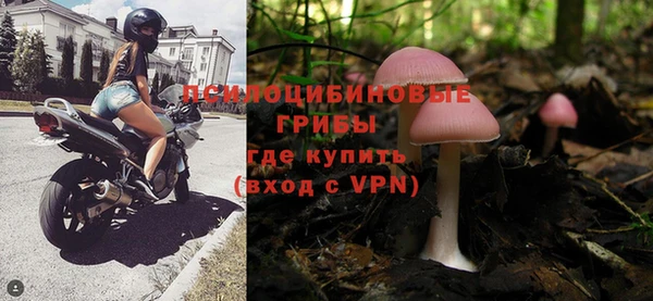 амф Абаза