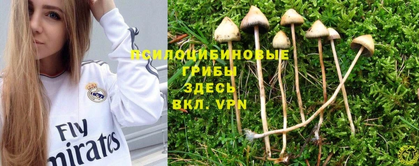 ПСИЛОЦИБИНОВЫЕ ГРИБЫ Абдулино