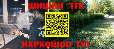 стаф Гудермес