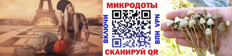 Галлюциногенные грибы Psilocybine cubensis Моршанск