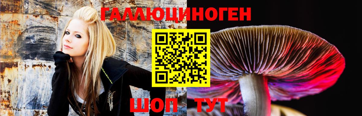 Псилоцибиновые грибы Cubensis Моршанск