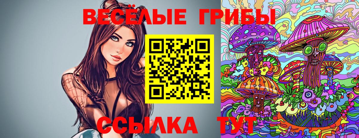 Псилоцибиновые грибы Cubensis  Галлюциногенные грибы Cubensis  Моршанск  Вход с VPN 